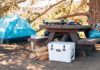 4 Useful Tips To Pack Your Cooler Like A Pro Camper