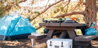 4 Useful Tips To Pack Your Cooler Like A Pro Camper