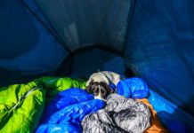 5 Solo Camping Tips You Have To Know About