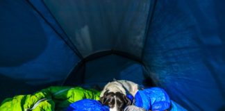 5 Solo Camping Tips You Have To Know About