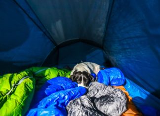 5 Solo Camping Tips You Have To Know About