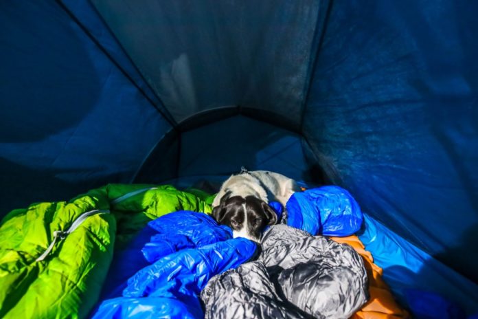 5 Solo Camping Tips You Have To Know About